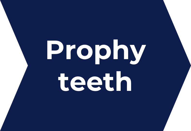 006 Traditional Etch 01 Prophy-teeth