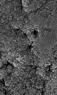 029 Kerr Self-Etch Product